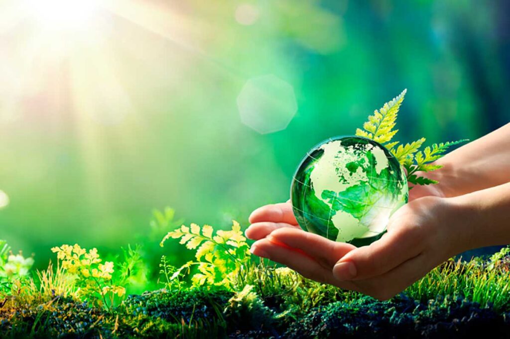 Sustentabilidade