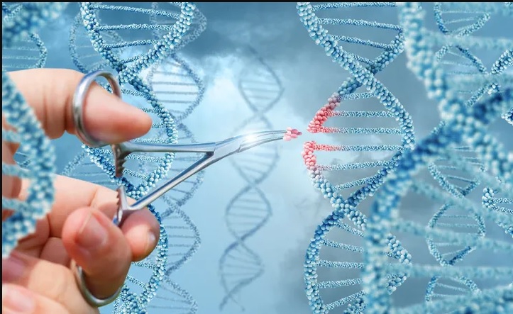Cientista Mudança